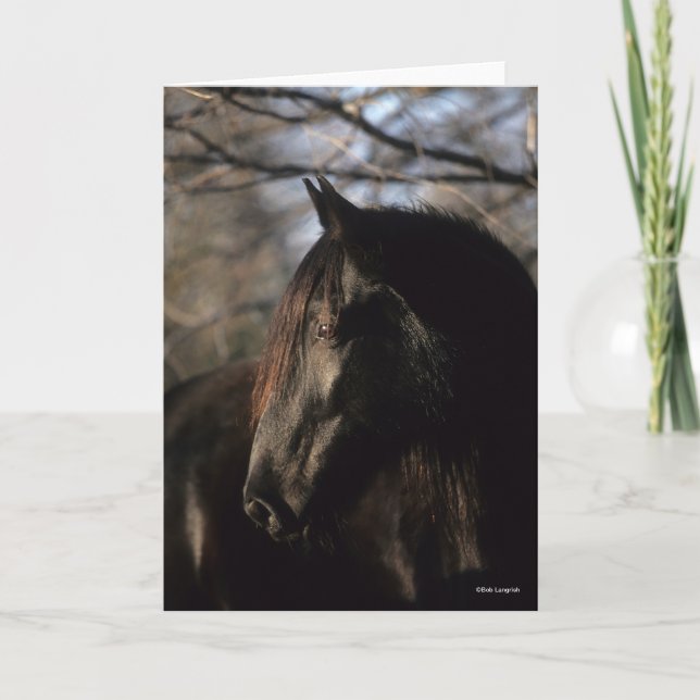 Bob Langrish | Black Tennessee Walker Headshot Card (Front)