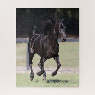 Bob Langrish   Black Tennessee Walker Running Jigsaw Puzzle