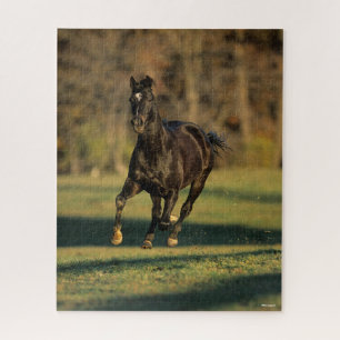 Bob Langrish   Black Thoroughbred Running Jigsaw Puzzle