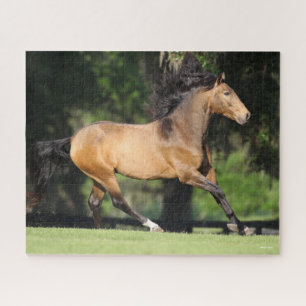 Bob Langrish   Buckskin Lusitano Running Jigsaw Puzzle