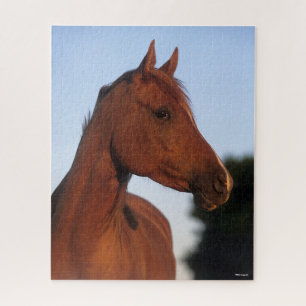 Bob Langrish Chestnut Arab Headshot Jigsaw Puzzle