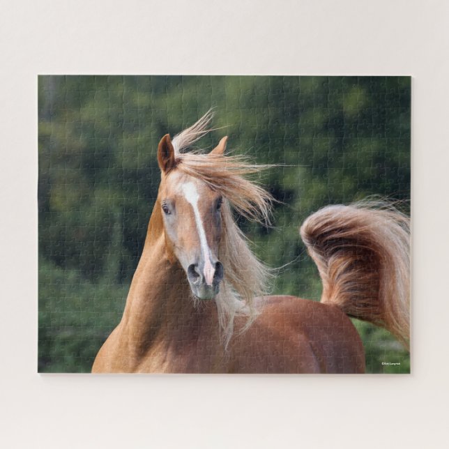 Bob Langrish | Chestnut Arab Stallion Headshot Jigsaw Puzzle (Horizontal)