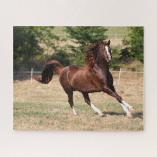 Bob Langrish   Chestnut Arab Stallion Running 3 Jigsaw Puzzle
