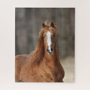 Bob Langrish Chestnut Hackney Headshot Jigsaw Puzzle