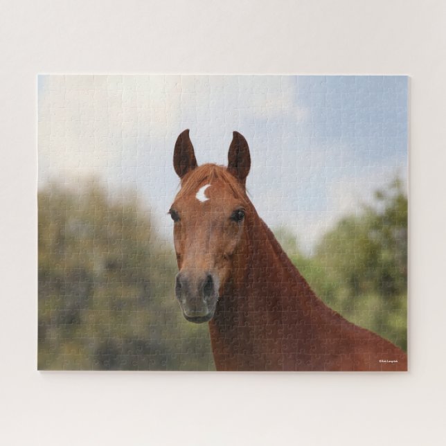 Bob Langrish | Chestnut Oldenburg headshot Jigsaw Puzzle (Horizontal)