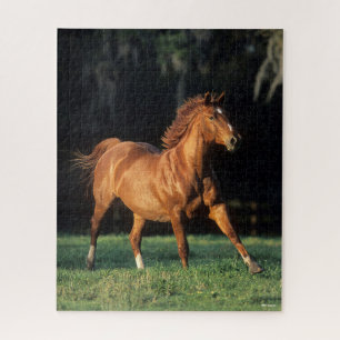 Bob Langrish   Chestnut Warmblood Mare Running Jigsaw Puzzle
