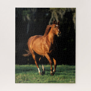Bob Langrish   Chestnut Warmblood Mare Running Jigsaw Puzzle
