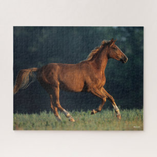Bob Langrish   Chestnut Warmblood Running Jigsaw Puzzle