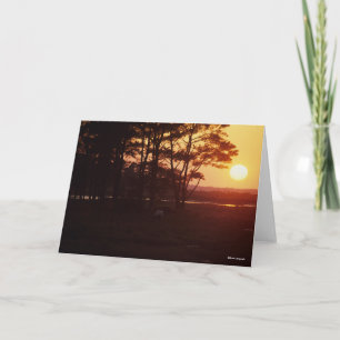 Bob Langrish   Chincoteague Grazing Sunset Card
