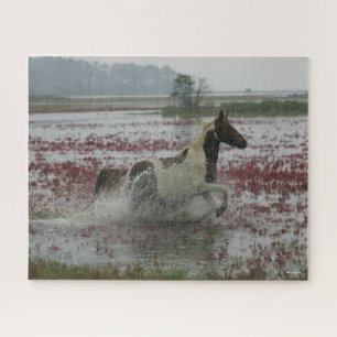 Bob Langrish   Chincoteague Horse Running In Water Jigsaw Puzzle