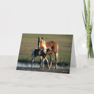 Bob Langrish   Chincoteague Mare and Foal Standing Card