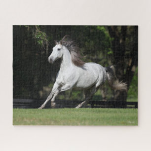 Bob Langrish   Dapple Grey Andalucian Running Jigsaw Puzzle