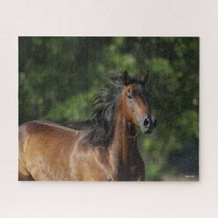 Bob Langrish Dark Bay Quarter Horse Headshot Jigsaw Puzzle