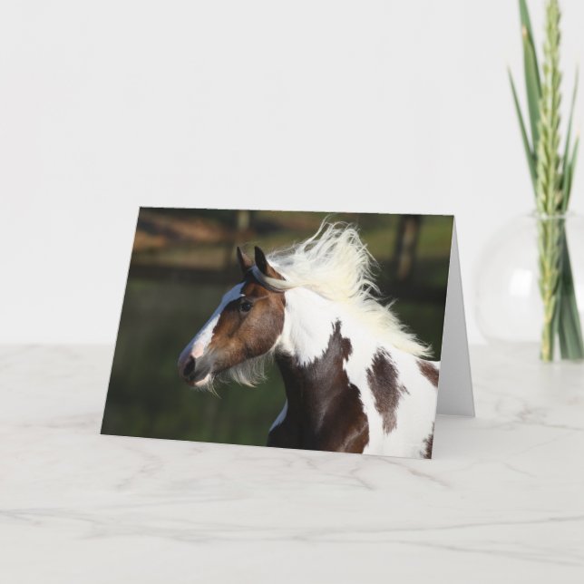 Bob Langrish | Drum Horse Headshot Card (Front)