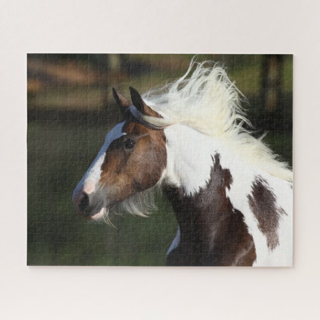 Bob Langrish | Drum Horse Headshot Jigsaw Puzzle (Horizontal)