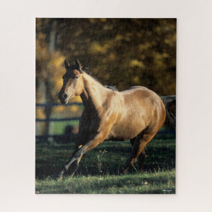 Bob Langrish   Dun Quarter Horse Running Jigsaw Puzzle