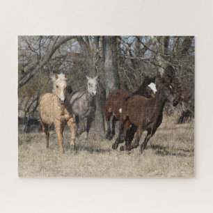 Bob Langrish   Four Bashkir Curly Horses Running Jigsaw Puzzle