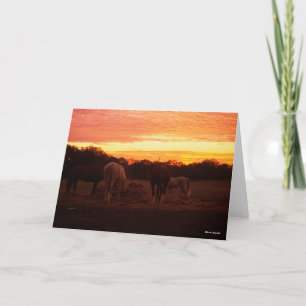 Bob Langrish   Four Horses Grazing at Sunset Card