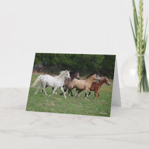 Bob Langrish   Four Ponies Running Together Card