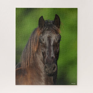 Bob Langrish   Friesian Horse Headshot Jigsaw Puzzle
