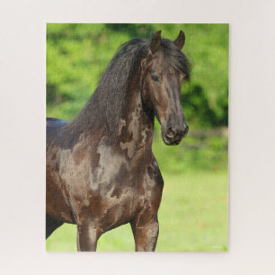 Bob Langrish Friesian Horse Standing Headshot Jigsaw Puzzle