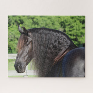 Bob Langrish Friesian Horse Standing headshot Jigsaw Puzzle