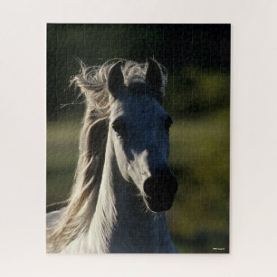 Bob Langrish Grey Andalucian Headshot Backlit Jigsaw Puzzle
