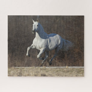 Bob Langrish   Grey Andalucian Running Jigsaw Puzzle
