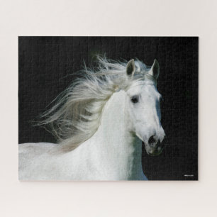 Bob Langrish Grey Andalucian Stallion Headshot Jigsaw Puzzle
