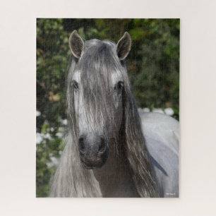 Bob Langrish Grey Andalucian Stallion headshot Jigsaw Puzzle
