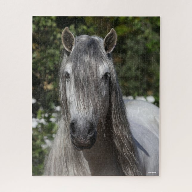 Bob Langrish | Grey Andalucian Stallion headshot Jigsaw Puzzle (Vertical)