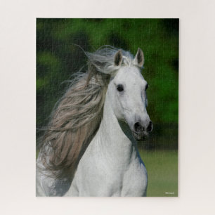 Bob Langrish Grey Andalucian Stallion headshot Jigsaw Puzzle