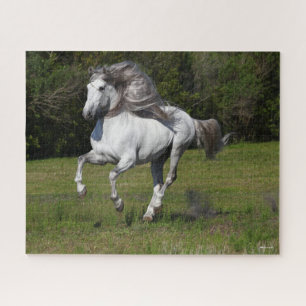 Bob Langrish   Grey Andalucian Stallion Running Jigsaw Puzzle