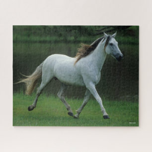 Bob Langrish   Grey Andalucian Stallion Running Jigsaw Puzzle