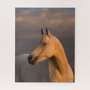 Bob Langrish Grey Arab Headshot Evening Light Jigsaw Puzzle