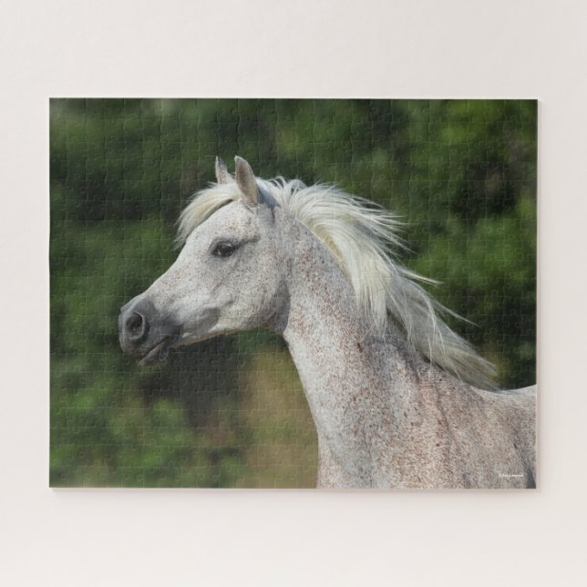 Bob Langrish | Grey Arab Headshot Jigsaw Puzzle (Horizontal)