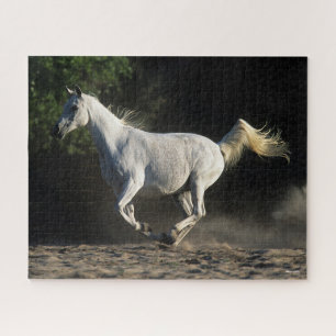 Bob Langrish   Grey Arab Mare Running Jigsaw Puzzle