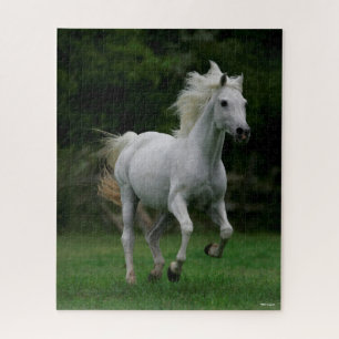 Bob Langrish   Grey Arab Running Mane Flowing Jigsaw Puzzle
