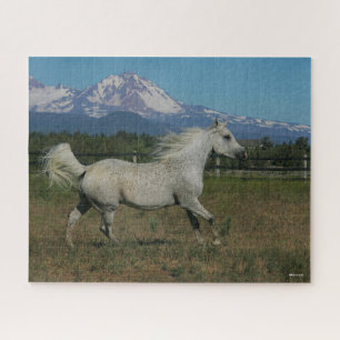 Bob Langrish Grey Arab Running Mountain Background Jigsaw Puzzle