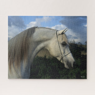 Bob Langrish Grey Arab Stallion Headshot Jigsaw Puzzle