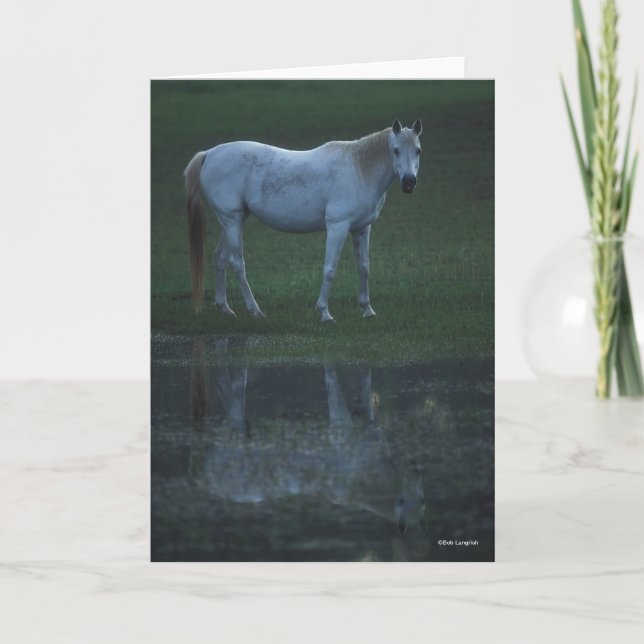 Bob Langrish Grey Arab Standing By Pond Reflection Card (Front)
