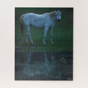 Bob Langrish Grey Arab Standing By Pond Reflection Jigsaw Puzzle