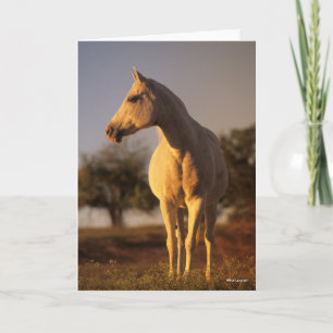 Bob Langrish   Grey Arab Standing Card