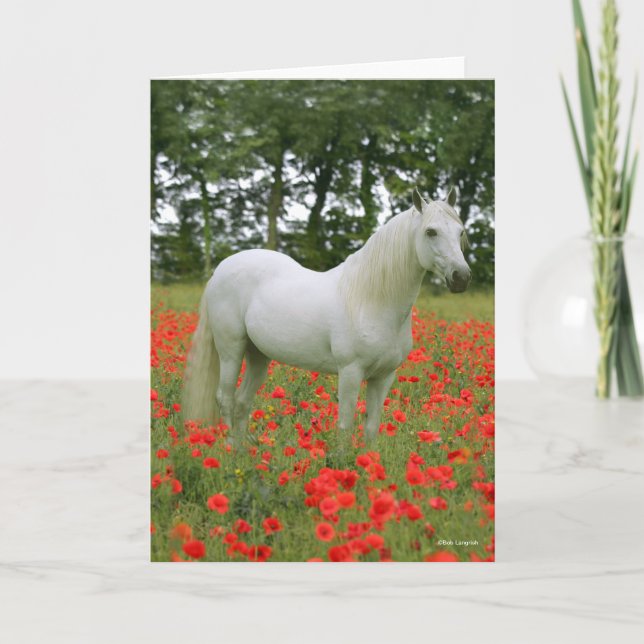 Bob Langrish | Grey Arab standing In Red Flowers Card (Front)