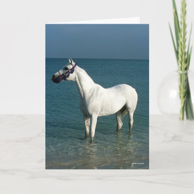 Bob Langrish | Grey Arab Standing In The Sea Card (Front)