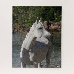 Bob Langrish   Grey Arab Standng in the Sea Jigsaw Puzzle