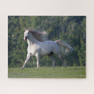 Bob Langrish   Grey Lusitano Stallion Running Jigsaw Puzzle