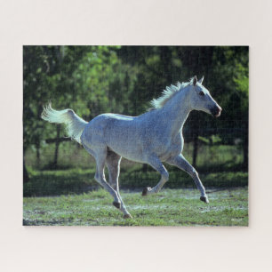 Bob Langrish   Grey Thoroughbred Stallion Running Jigsaw Puzzle