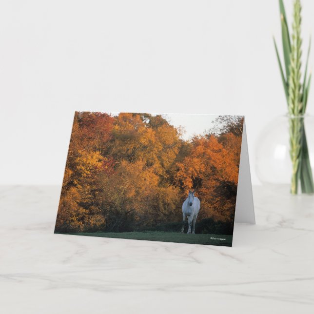 Bob Langrish Grey Warmblood Horse Standing Autumn Card (Front)
