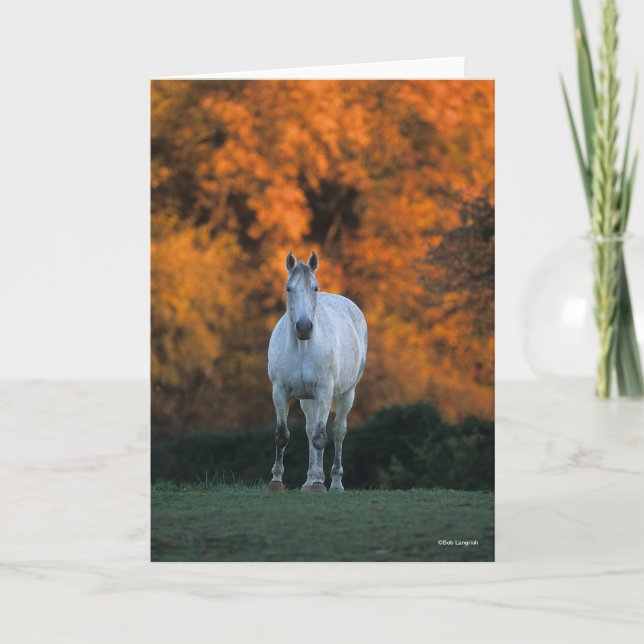 Bob Langrish | Grey Warmblood Standing Autumn Card (Front)